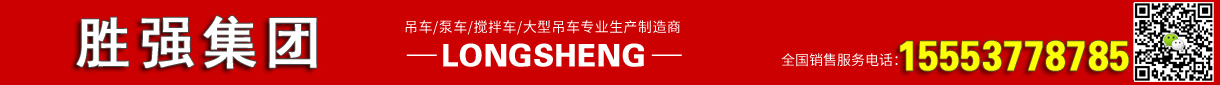 山東勝?gòu)?qiáng)吊車有限公司